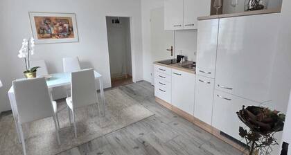 Vacation apartment with several living units (up to 20 people)
