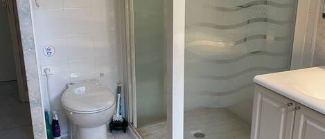 Shower, hair dryer, towels