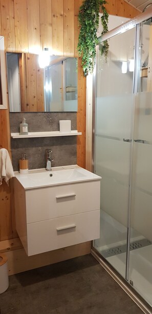 Douche, séchoir à cheveux, serviettes fournies, papier de toilette