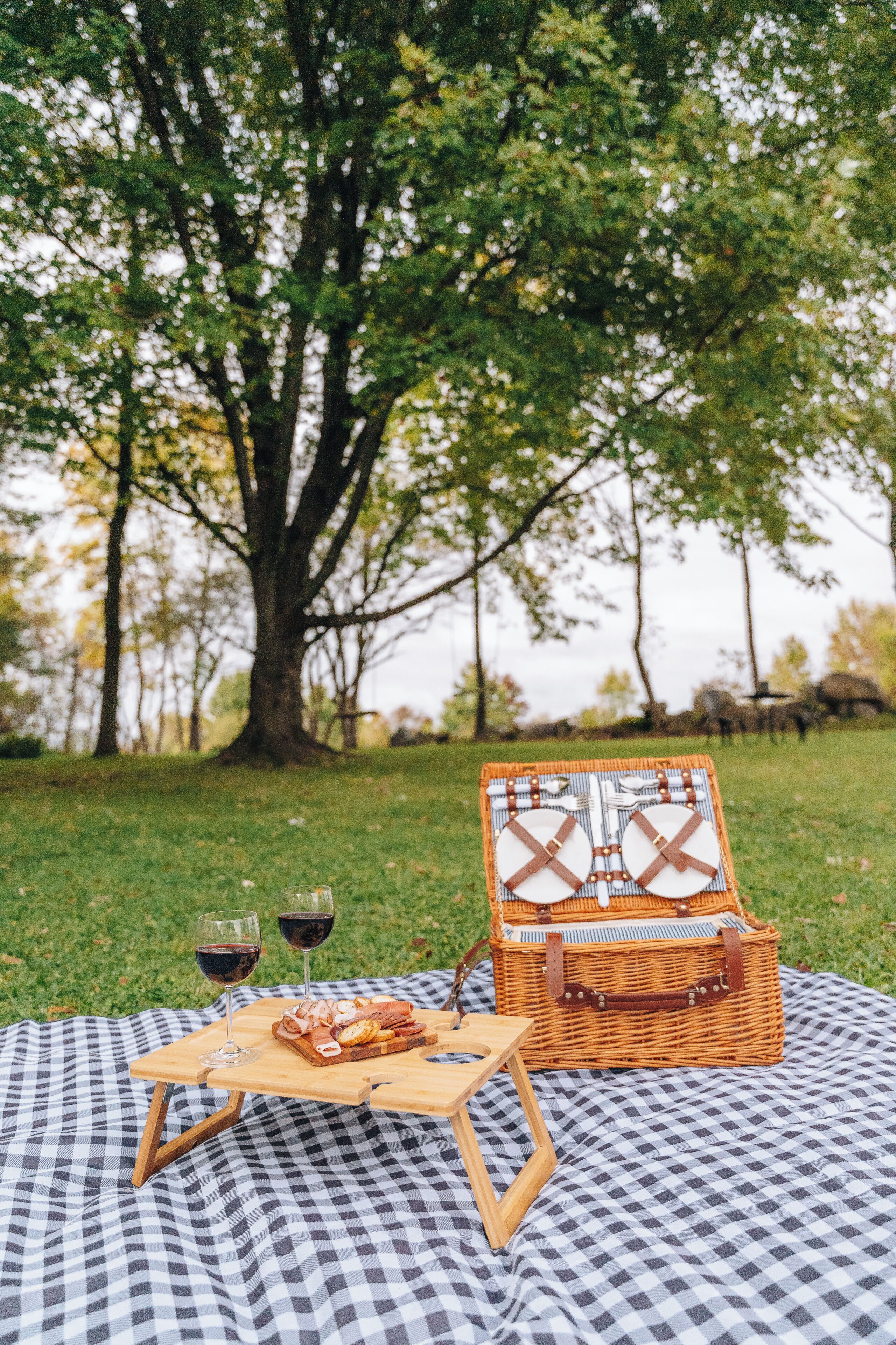 A picnic setup with a checkered blanket, a wicker picnic basket, and two wine glasses on a grassy field with trees in the background.