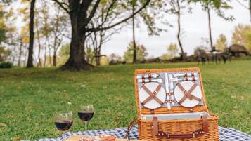 A picnic setup with a checkered blanket, a wicker picnic basket, and two wine glasses on a grassy field with trees in the background.