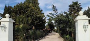 A pathway flanked by white pillars with lanterns, leading through a garden with various trees and plants.