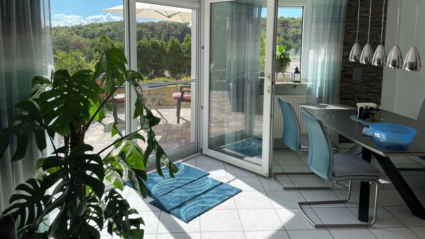 Una cucina moderna con una porta a vetri scorrevoli che dà su un balcone, un'area pranzo con tavolo e sedie, e una grande pianta in vaso.
