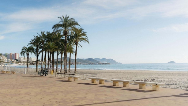 Un paseo marítimo con palmeras, bancos y vistas al mar y montañas a lo lejos.