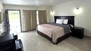 A hotel room with a bed, a desk, a chair, a TV, and a sliding door to the outside. - Friendship Inn Near Golf Course Ocala Fl (Ocala)