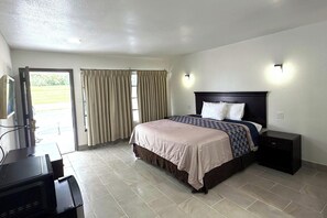 A hotel room with a bed, a desk, a chair, a TV, and a sliding door to the outside. - Friendship Inn Near Golf Course Ocala Fl (Ocala)