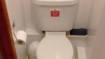 Habitación estándar, varias camas | Baño | Artículos de higiene personal gratuitos, secador de pelo y toallas