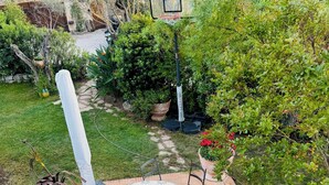 Une terrasse avec une table ronde, des chaises et un petit panier de basket.