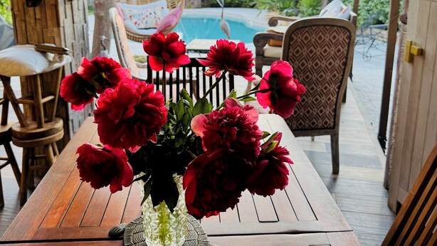 Une table en bois sur laquelle est posé un vase de fleurs rouges, une chaise en osier et une vue sur une piscine.