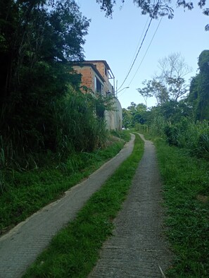 Property grounds - Grandma's scent in the middle of the woods. (Rio de Janeiro)
