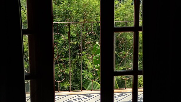 A view through a window with a metal railing, a clear sky, and dense greenery outside.