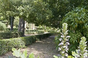 Ein Garten mit gepflastertem Weg, ordentlich geschnittenen Hecken und Bäumen.