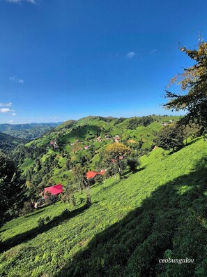 Miscellaneous - A peaceful and safe holiday opportunity in the Black Sea region. (Rize)