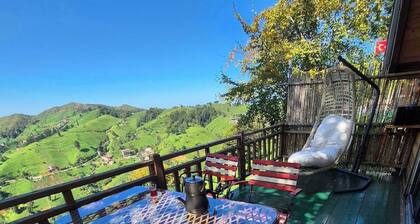 A peaceful and safe holiday opportunity in the Black Sea region.