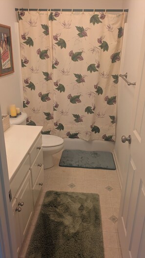 Bathroom - Beautiful 3-bedroom, pet-friendly house in historic Oxford, MS (Oxford)