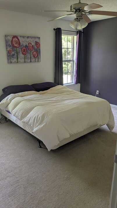 Beautiful 3-bedroom, pet-friendly house in historic Oxford, MS