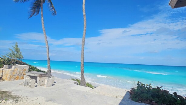 Ein Strand mit zwei Palmen, einem Betonweg und Blick auf den Ozean.