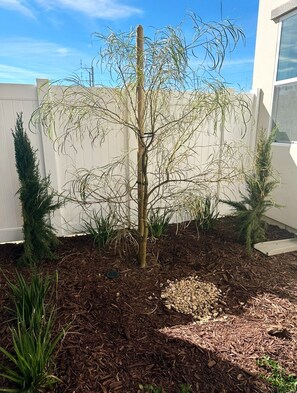 Área da propriedade