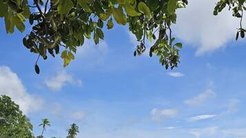 House, 2 Bedrooms, Smoking, Balcony | Beach