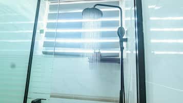 Shower, towels, soap, toilet paper