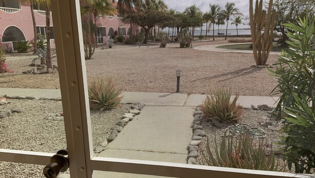 Vista a través de una ventana con mosquitero, mostrando un área pavimentada con rocas pequeñas, una palmera y un edificio de fachada rosa.
