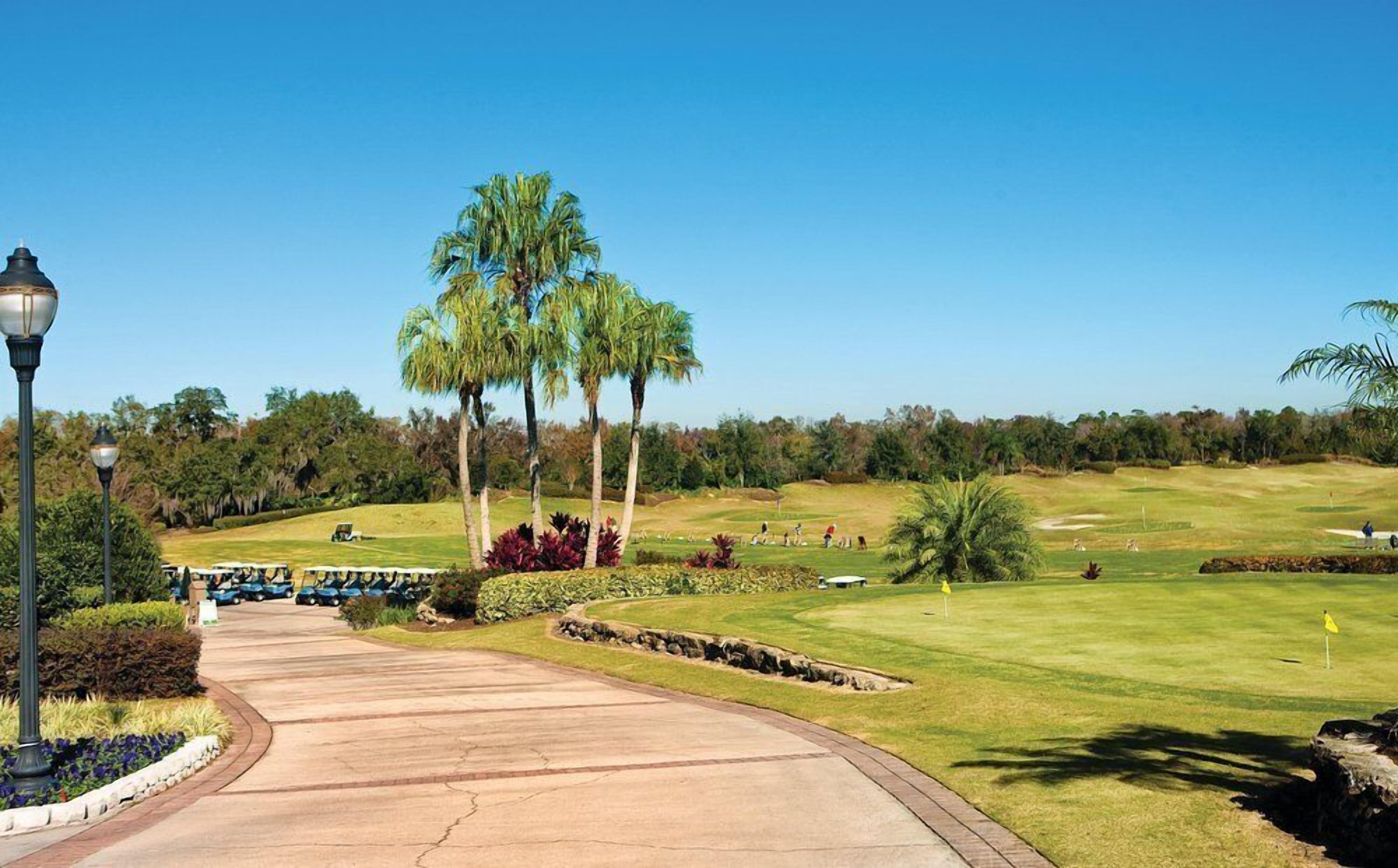 A golf course with a paved pathway, palm trees, and a clear blue sky.