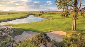 Un parcours de golf agrémenté d’un plan d’eau, de bunkers de sable et d’un arbre remarquable.