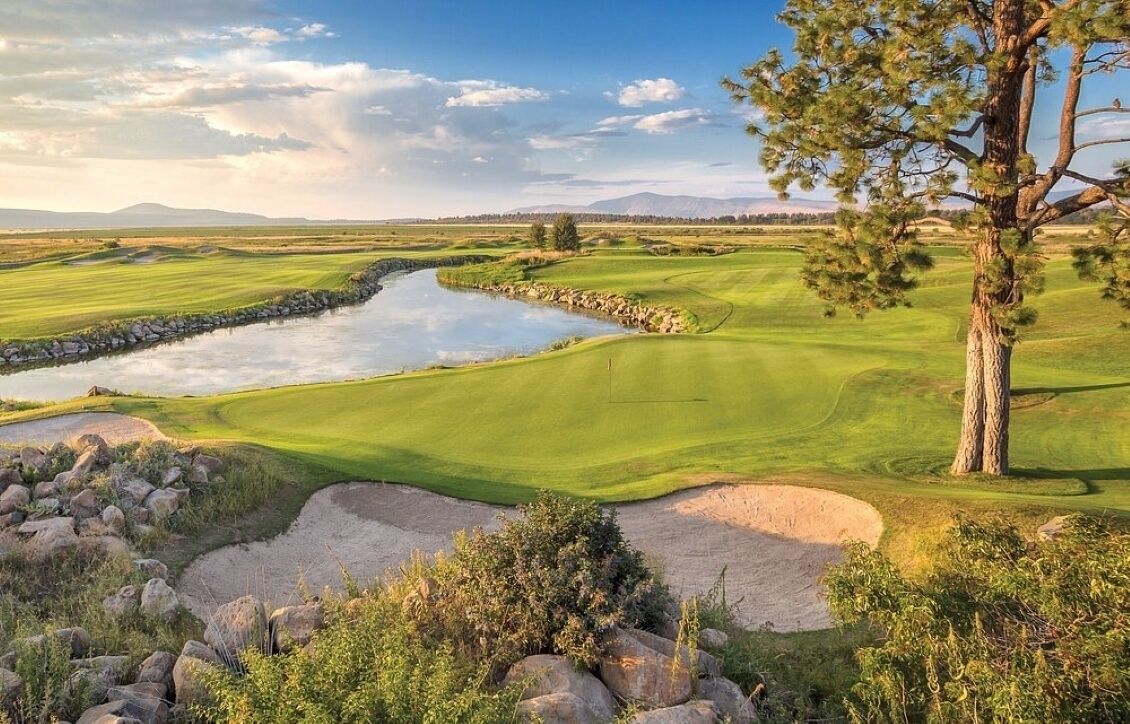 A golf course with a water feature, sand bunkers, and a prominent tree.
