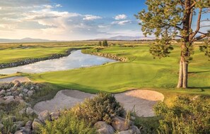 A golf course with a water feature, sand bunkers, and a prominent tree.