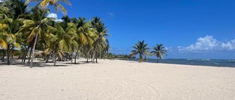 Playa