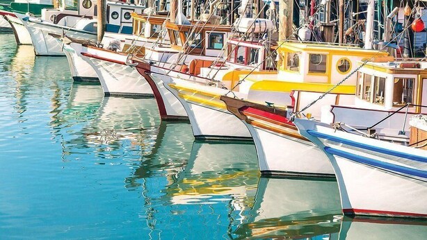 A marina with various boats docked. - San Francisco | Couples City Stay | Wi-Fi + Gym (San Francisco)