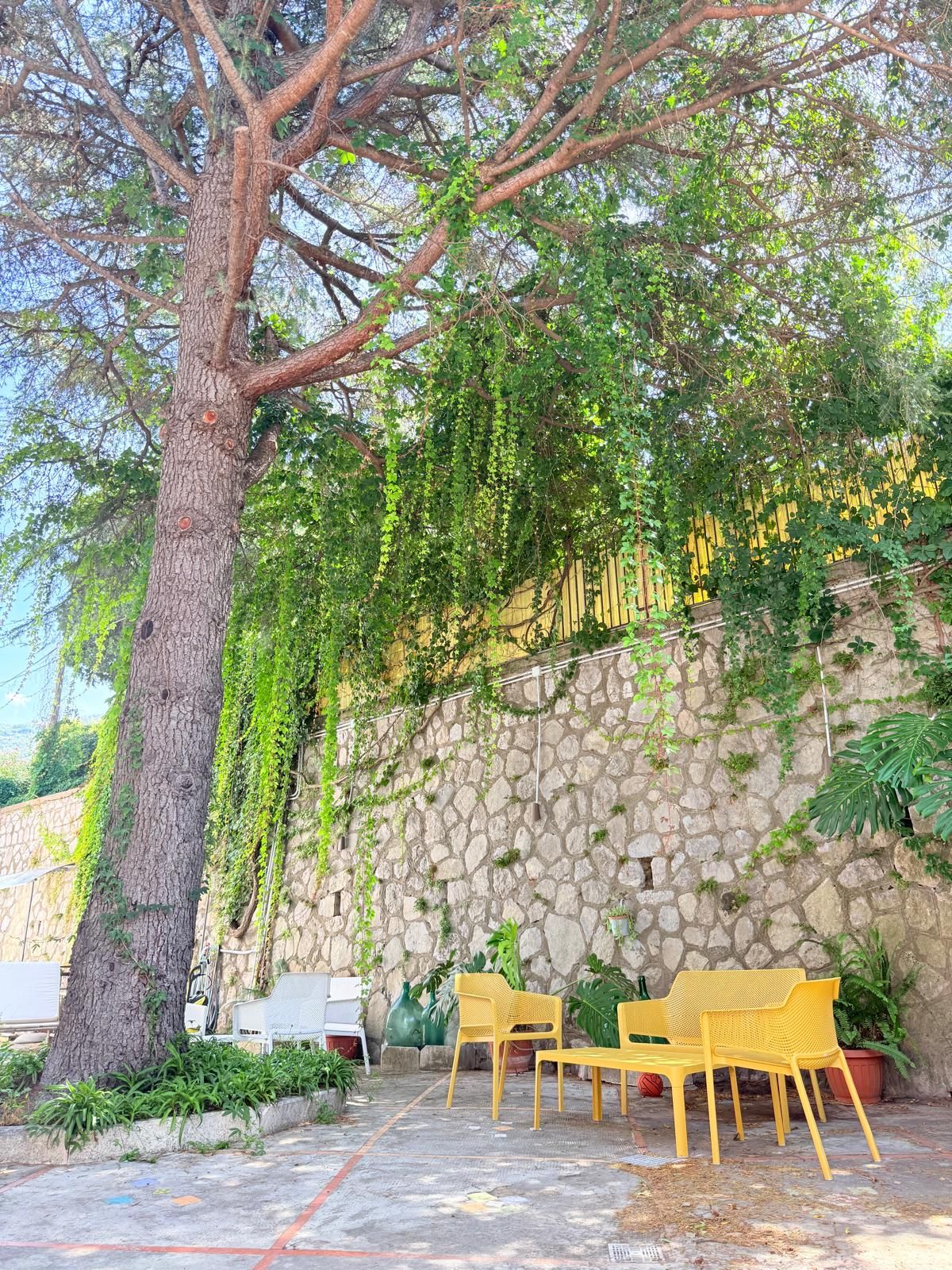 A stone wall with a tree and yellow chairs in front.