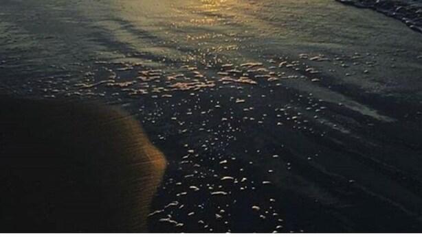 Escena de playa con el sol poniéndose sobre el océano, olas suavemente lamiendo la orilla.