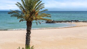 Una playa con una palmera, cielo azul despejado y mar tranquilo.