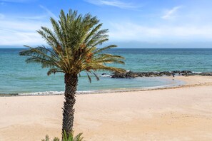 Ein Strand mit einer Palme, blauem Himmel und ruhiger See.