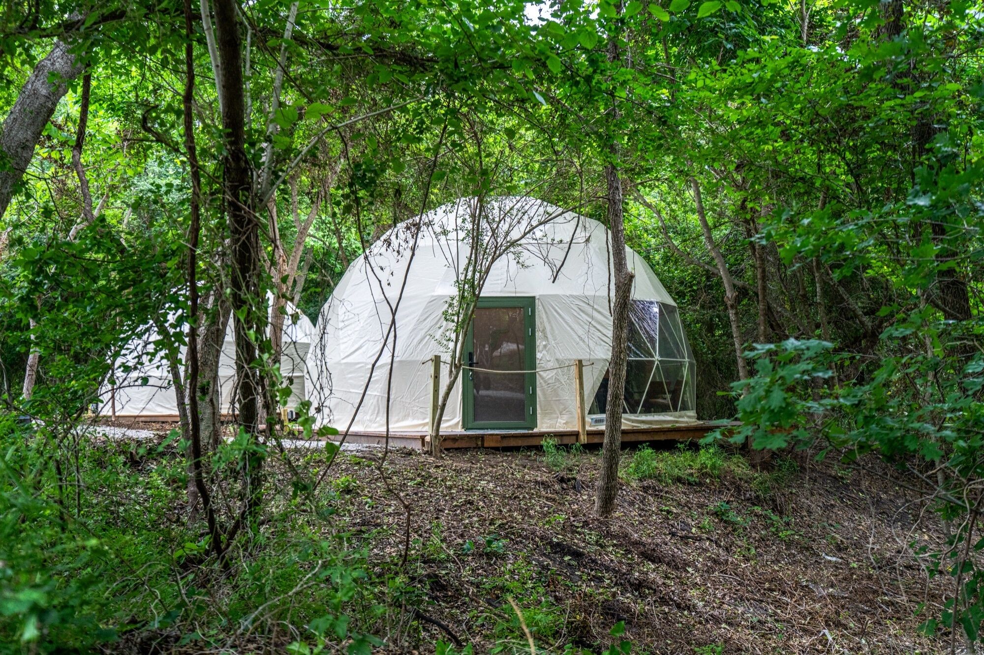 A dome-shaped tent in a forested area.
