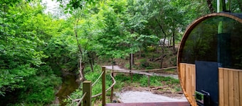 Ferncrest Chambers Creek