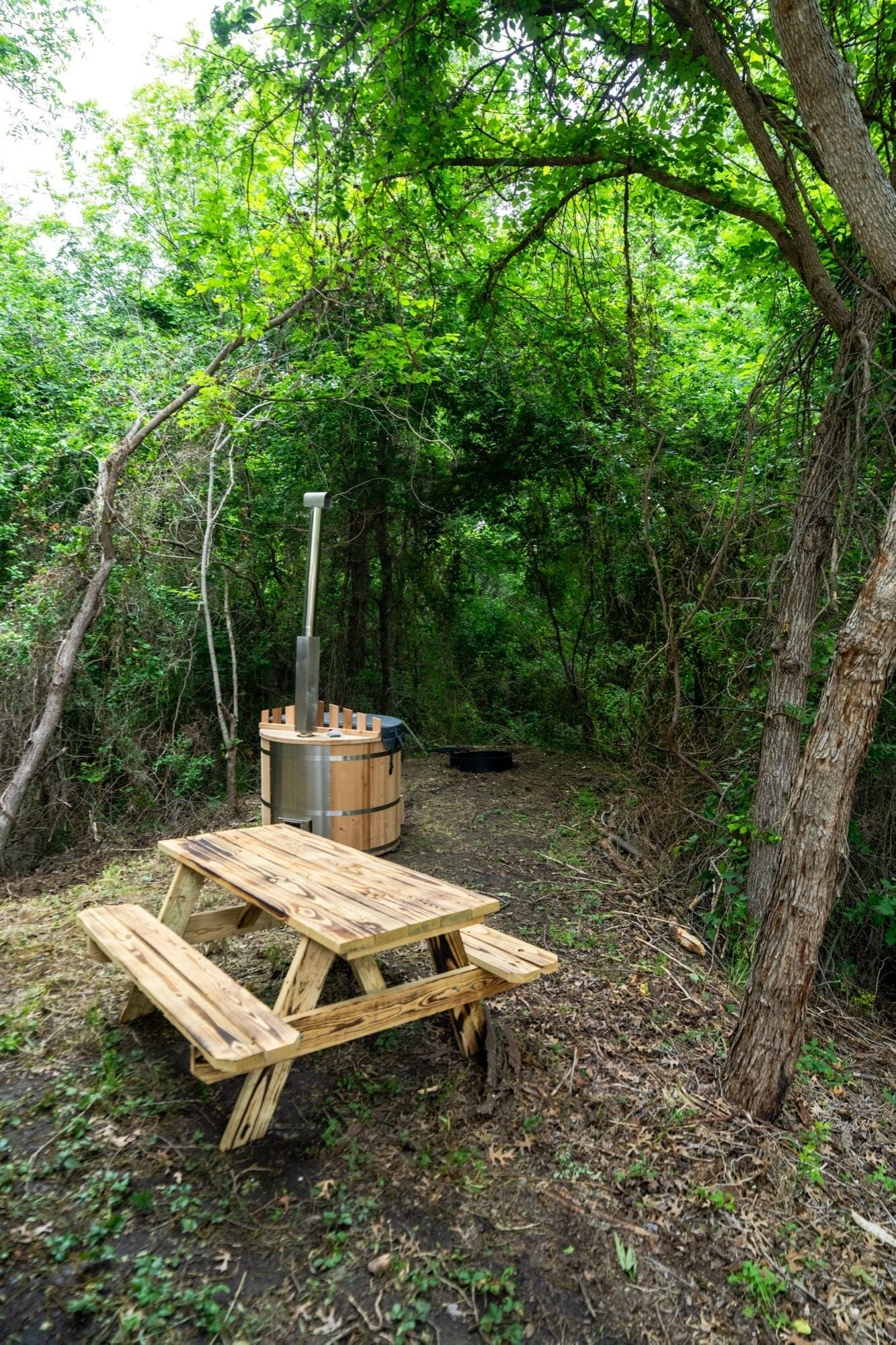 A picnic table with benches and a wood-burning stove in a forest.