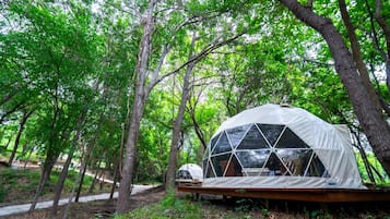 Tenda Premium, Beberapa Tempat Tidur, difabel mobilitas | Eksterior