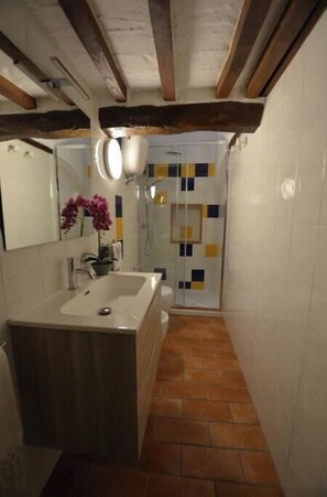 Shower, hair dryer, bidet, towels - Panoramic apartment in medieval village (Radicondoli)