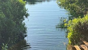 A person paddling a kayak on a calm river surrounded by greenery. - Casa Florentina (Tulum)