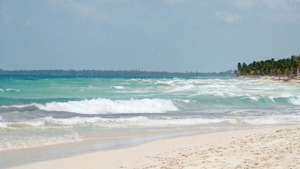 A beach with waves, a sandy shore, and a line of trees in the distance. - Casa Florentina (Tulum)