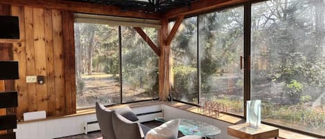 TV, fireplace, books, stereo