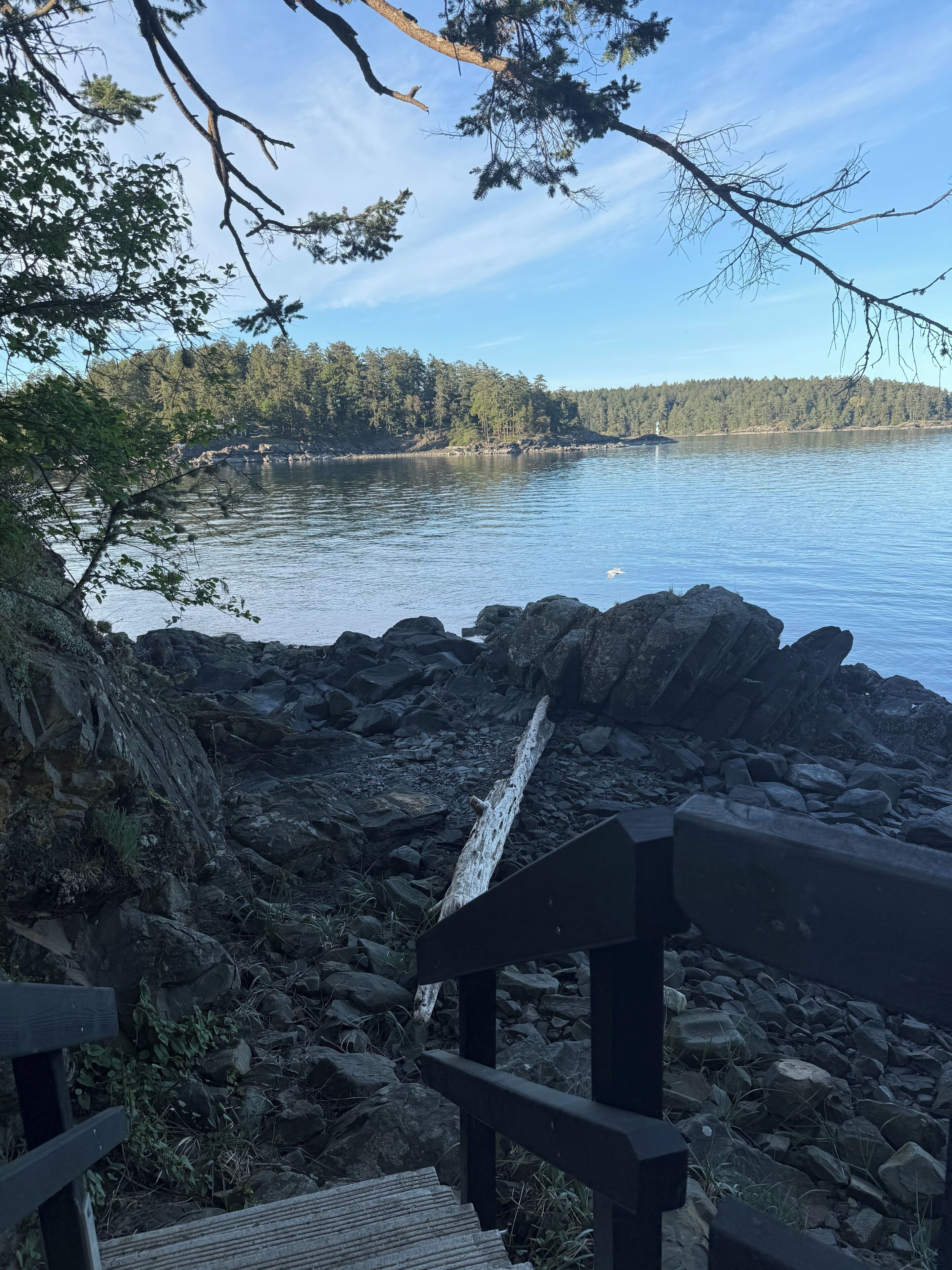 En stenig kuststräcka med en träpromenad som leder fram till en brygga.