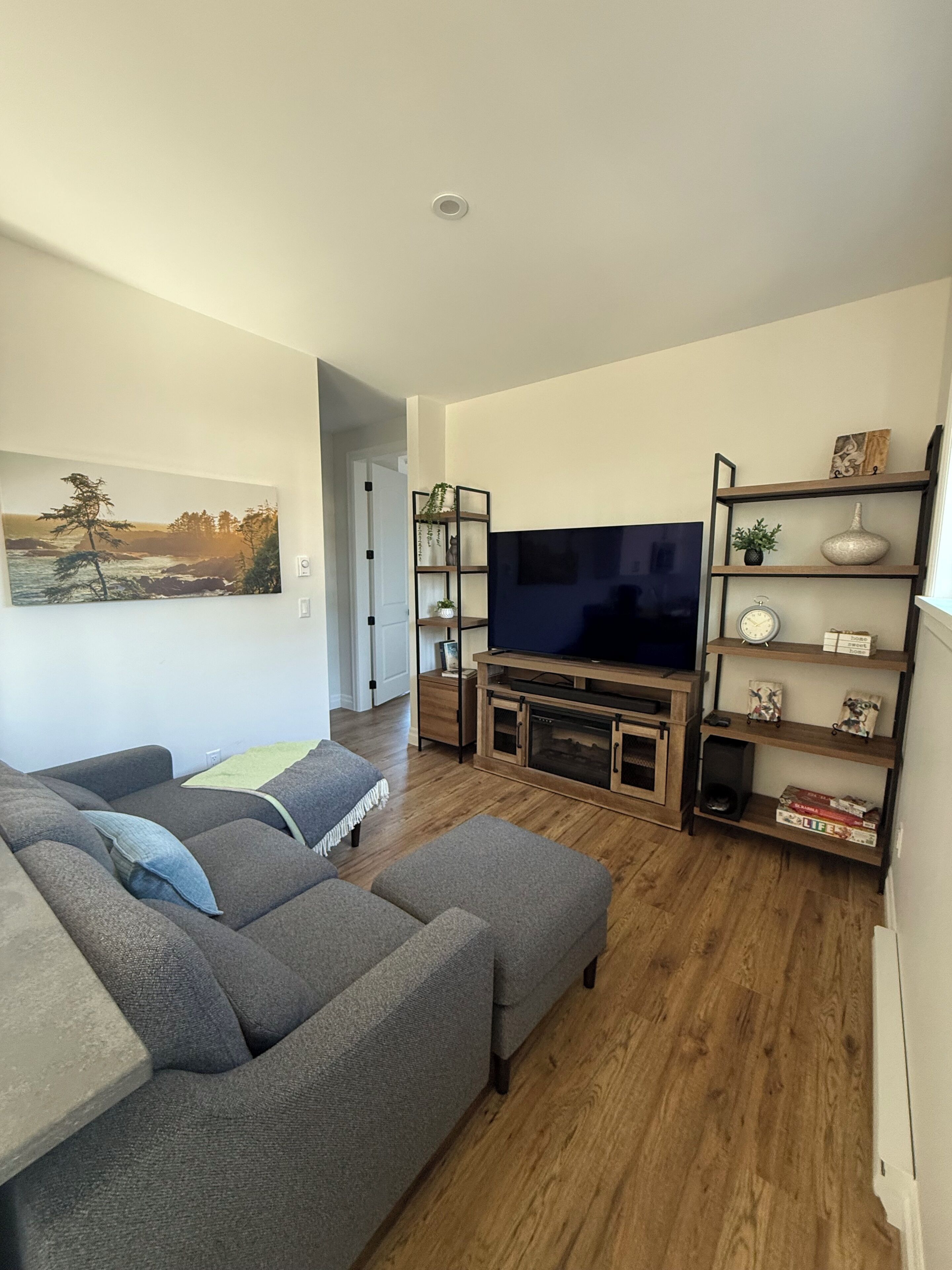 Smart TV, fireplace, books