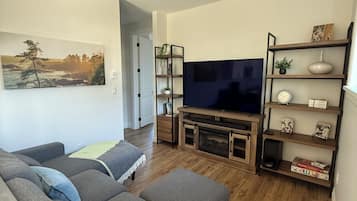 Smart TV, fireplace, books