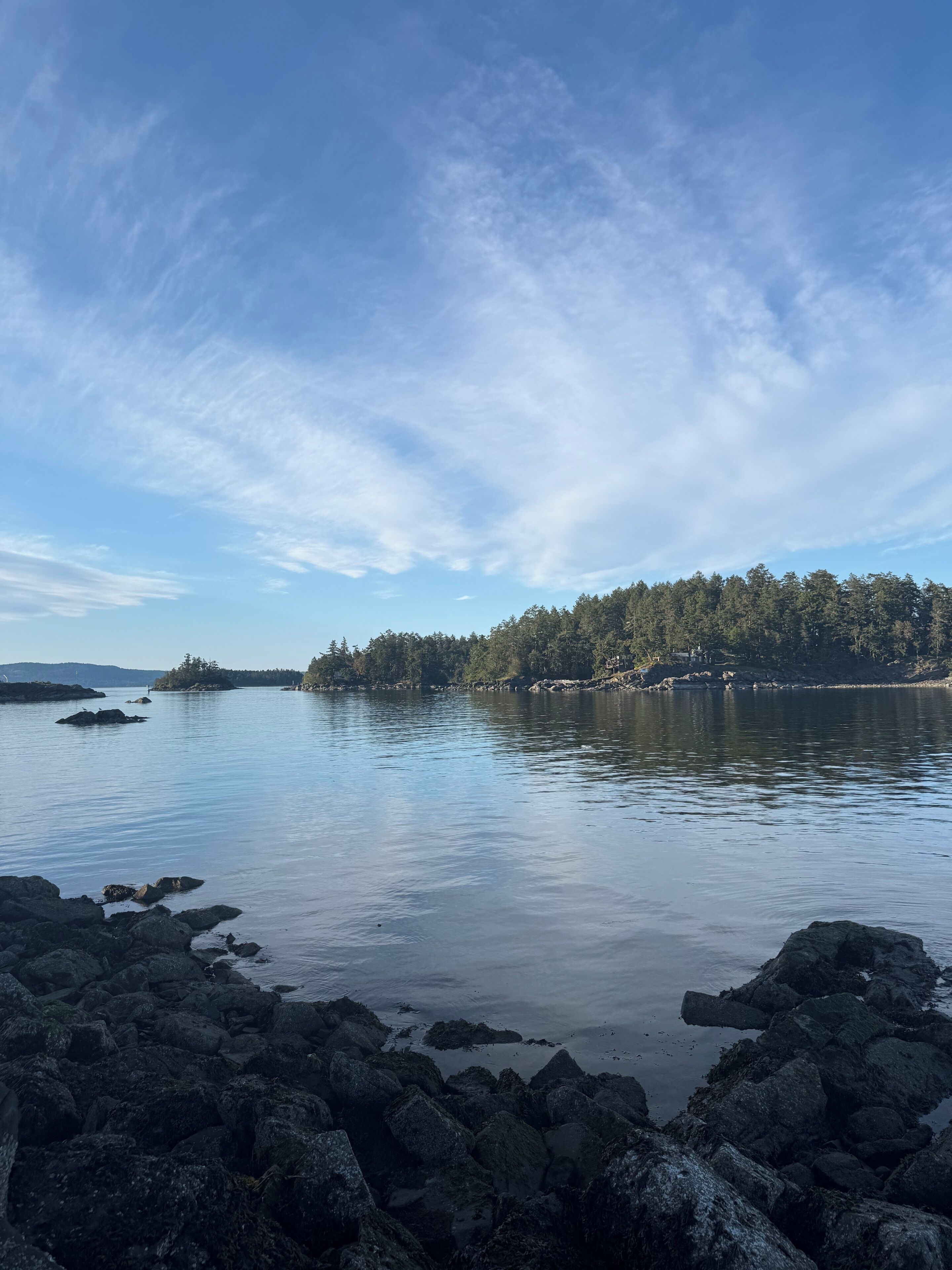 A rocky shoreline with calm water, a forested island in the distance, and a clear sky.