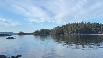 A rocky shoreline with calm water, a forested island in the distance, and a clear sky.