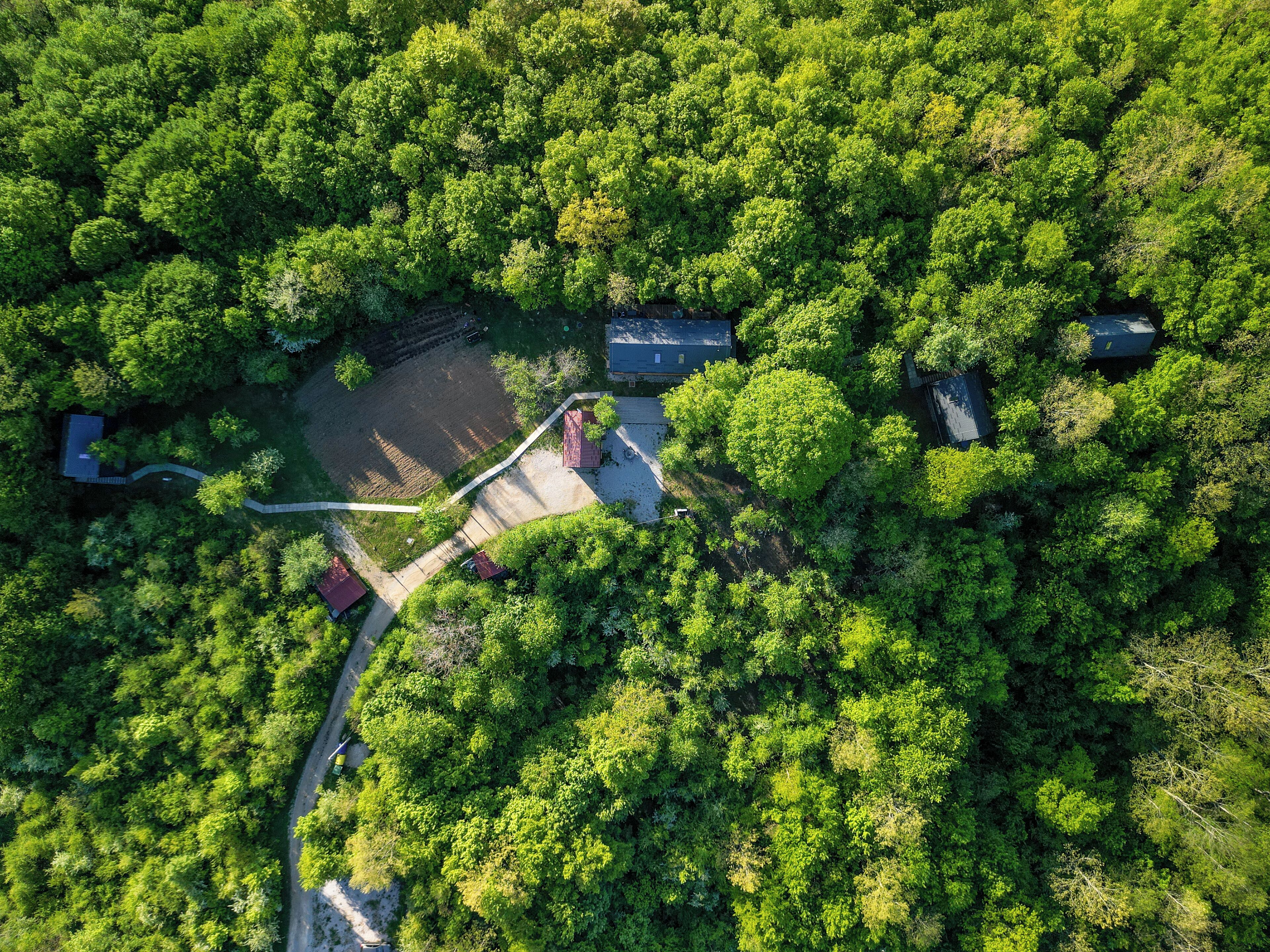 House, Garden View | Aerial view