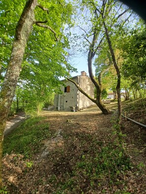 Property grounds - Cosy, intimate farmhouse in the Agen countryside (madaillan)